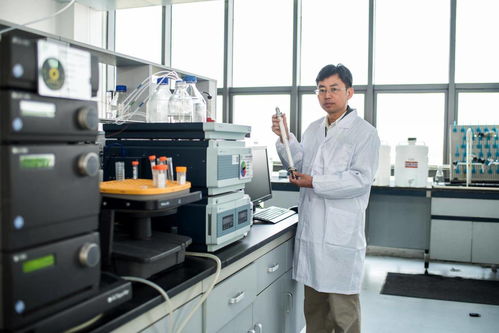 小微球背后的 大突圍